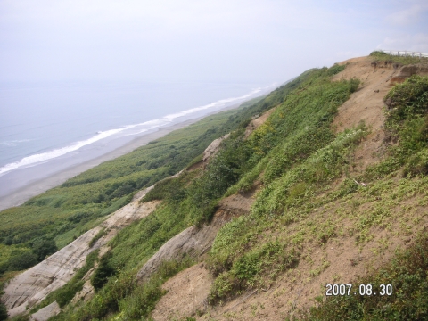s_PICT0546.jpg